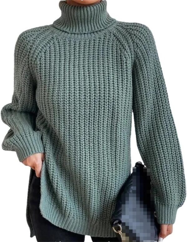 61Ez1Izq4bL._AC_SL1080.jpg Turtleneck Fashion Women Sweater Knitted Slim Top Fashion Leisure Sweaters Ladies Pullovers Knitwear