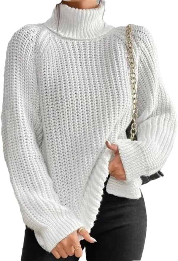 61ew1Kl5D3L._AC_SL1080.jpg Turtleneck Fashion Women Sweater Knitted Slim Top Fashion Leisure Sweaters Ladies Pullovers Knitwear