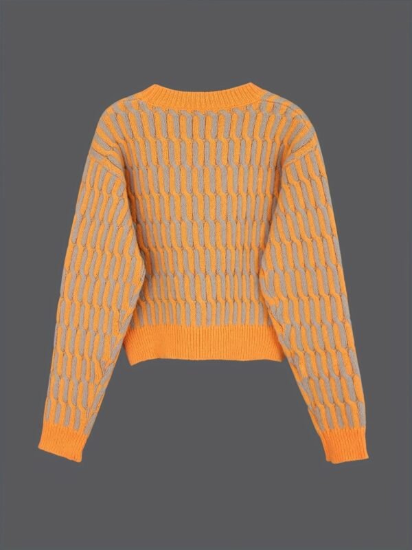 Color Block Long Sleeve Sweater, Casual Crew Neck Pullover Sweater For Winter & Fall, Women's Clothing